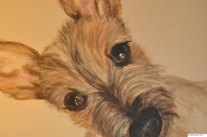 " Pound Pup" by Marie Healy 2012- Sold